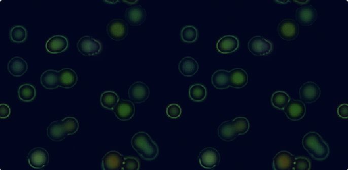 Green clusters of biomass drifting in a dark Cadence Garden world, captured from the Random soup starting world